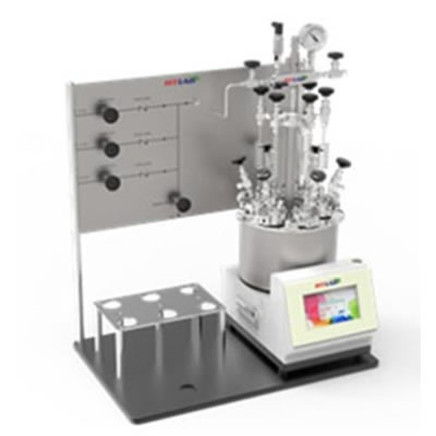 6位平行反映釜 6位平行反映釜